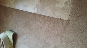 Marana carpet repair after