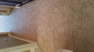 Sahuarita carpet restretch after