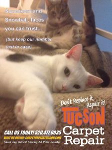 Tucson carpet repair cats