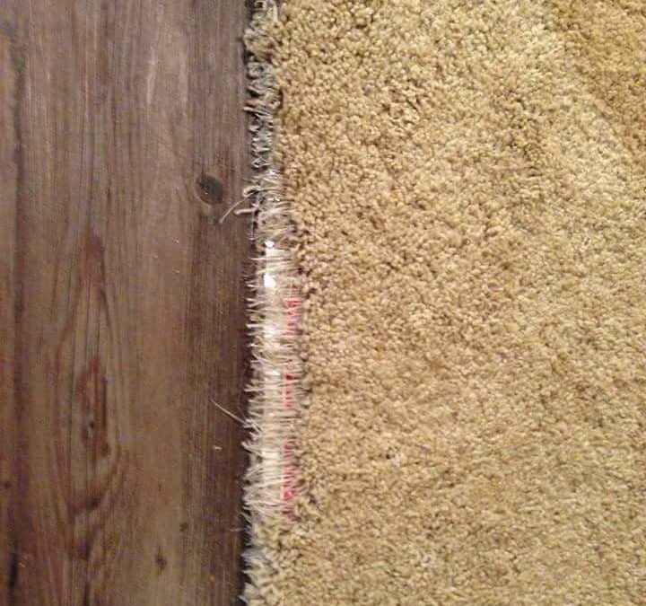 Oro Valley Carpet Repair