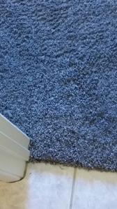 Tucson carpet pet damage repaired