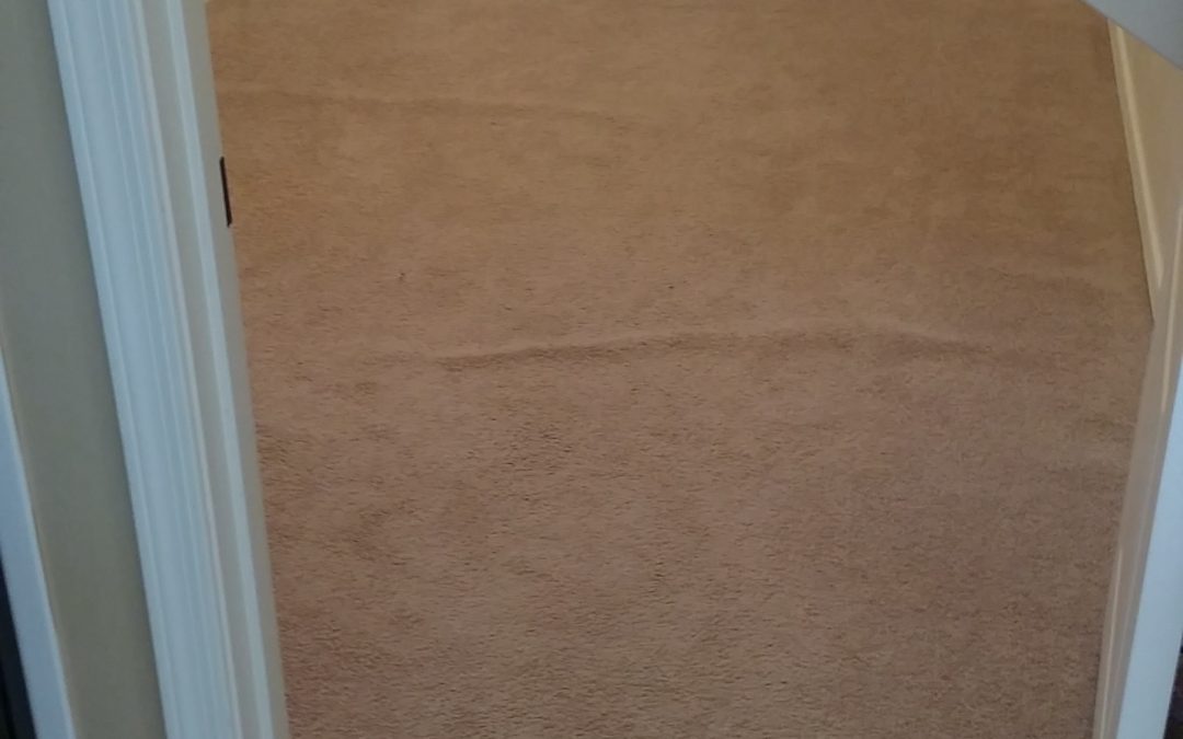Sahuarita Closet Carpet Stretch