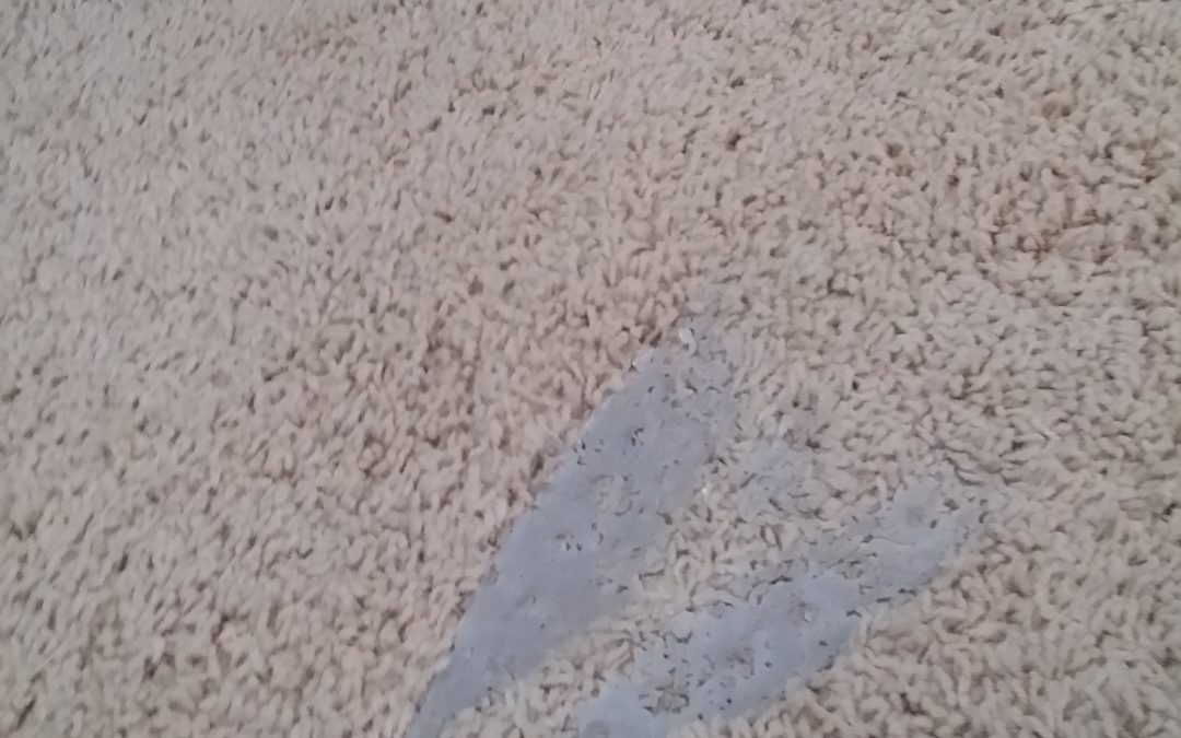 East Tucson Carpet Burn Repair