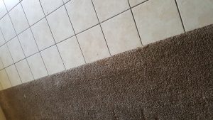 Marana Carpet damage after
