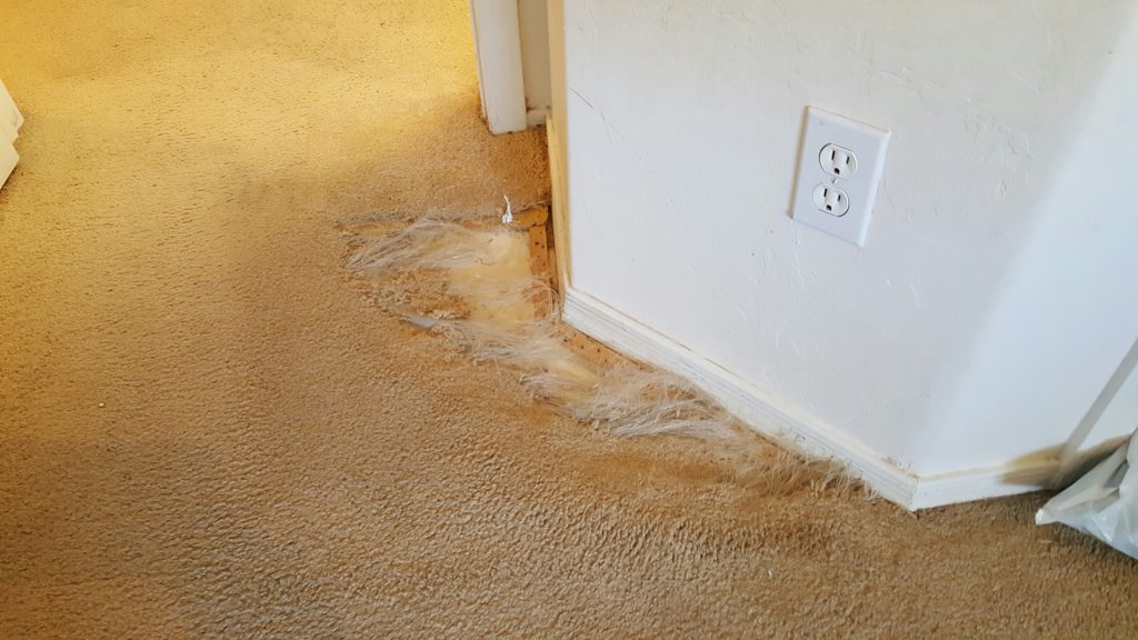 East Tucson Carpet Repair Carpet Repair Tucson