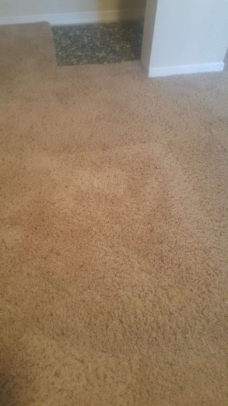 Tucson Carpet Stain Repair Carpet Repair Tucson